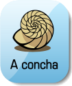 A concha